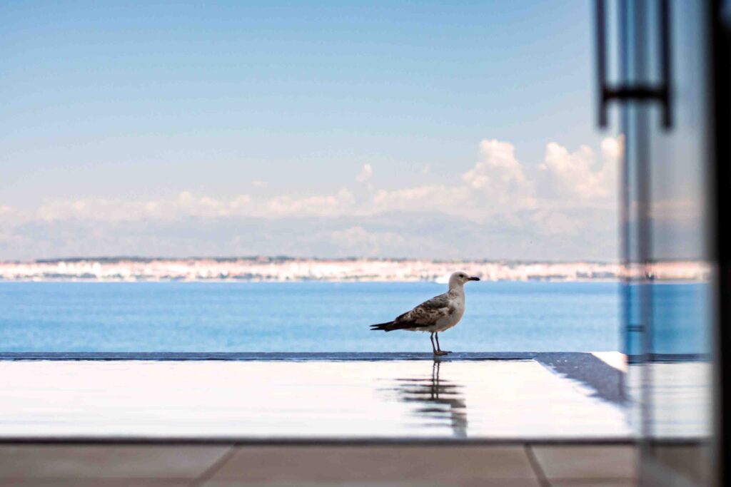 Infinity Pool Villa Trinity